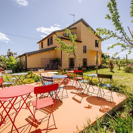 Agriturismo Bio Podere 109 - Wine&Food アルベレーゼ エクステリア 写真