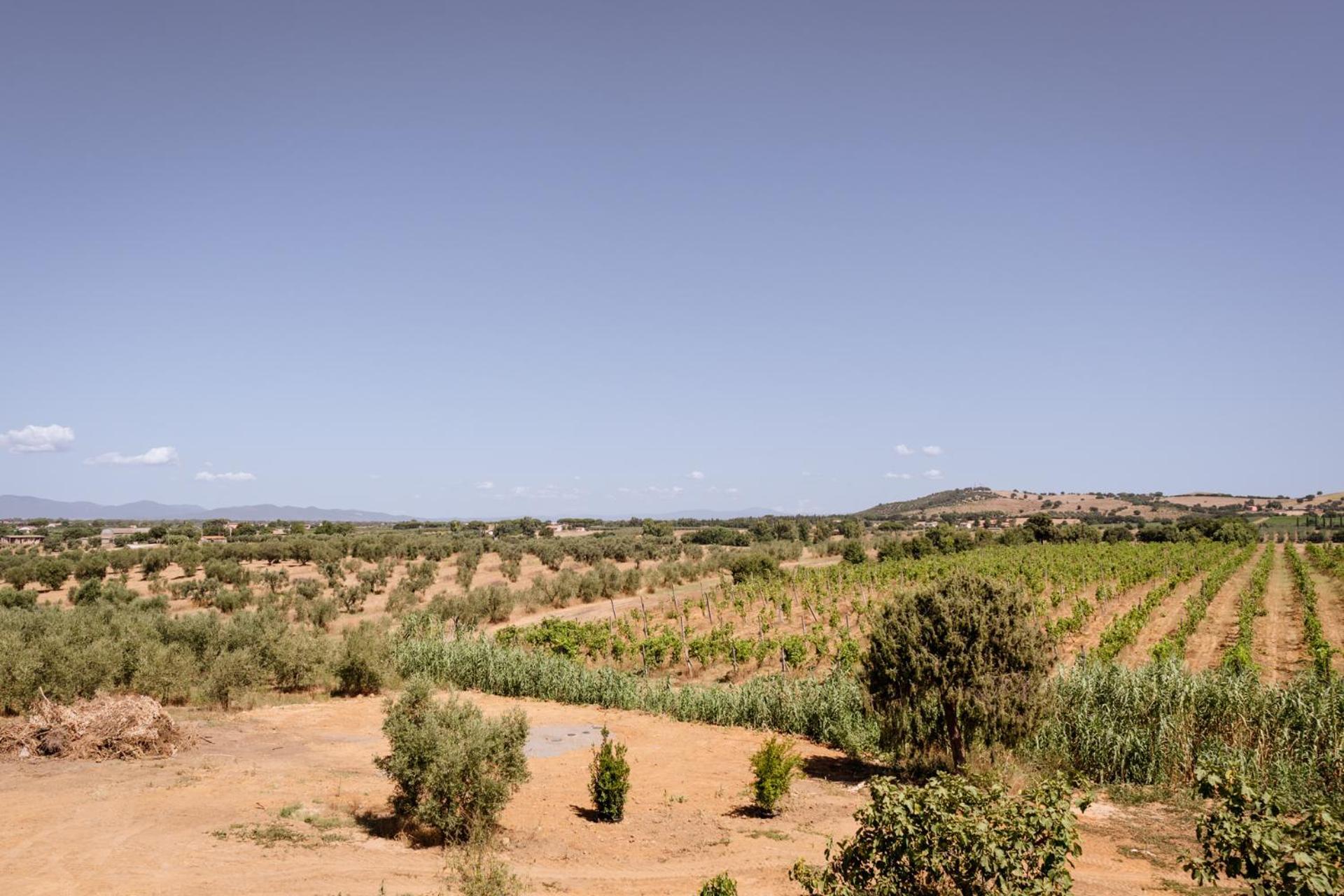 Agriturismo Bio Podere 109 - Wine&Food アルベレーゼ エクステリア 写真