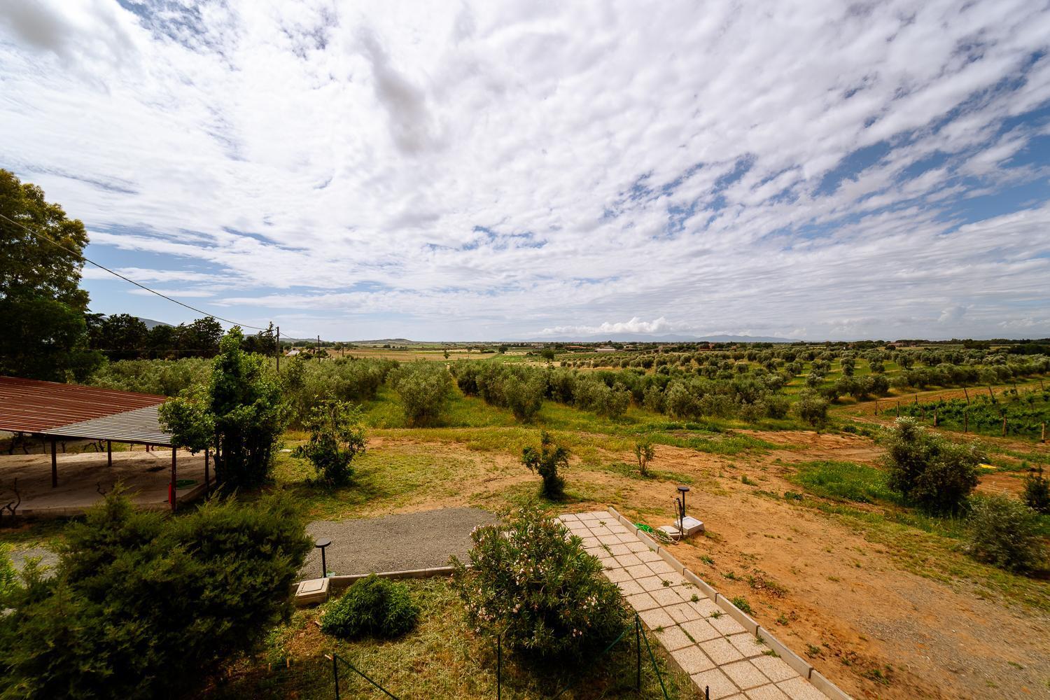 Agriturismo Bio Podere 109 - Wine&Food アルベレーゼ エクステリア 写真