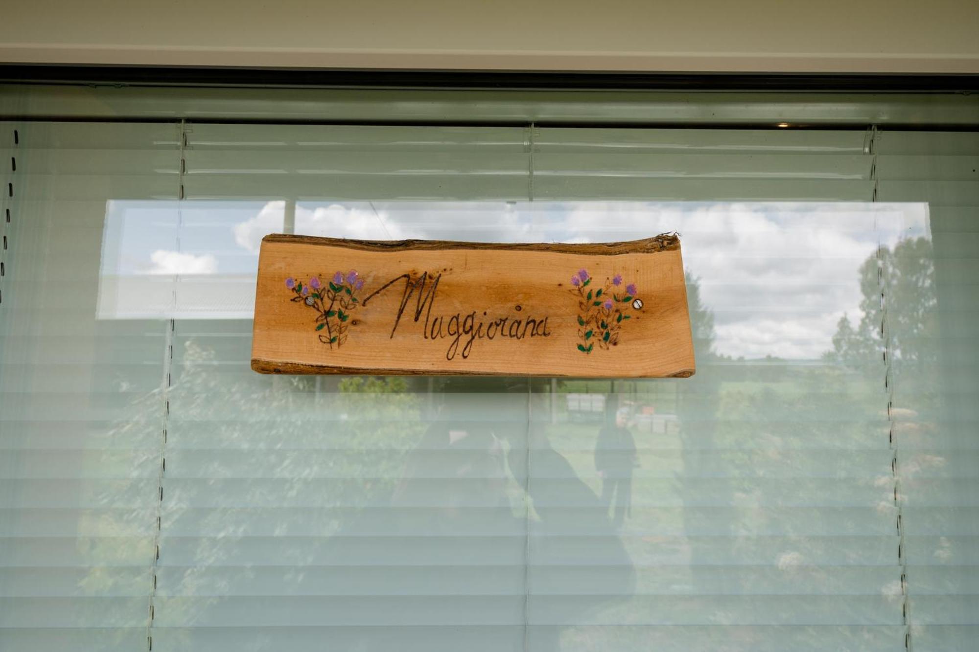 Agriturismo Bio Podere 109 - Wine&Food アルベレーゼ エクステリア 写真