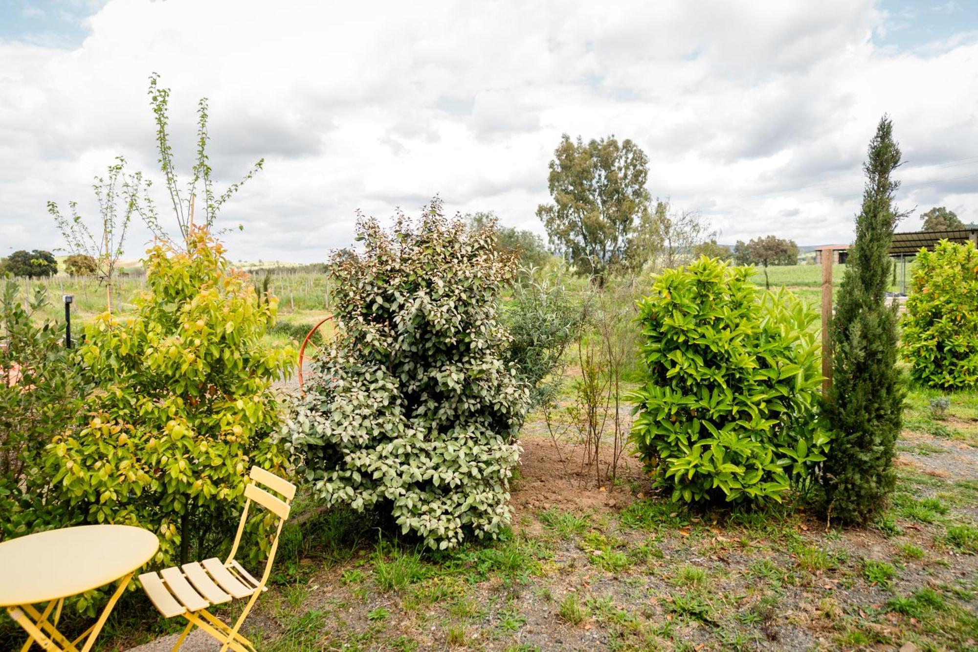 Agriturismo Bio Podere 109 - Wine&Food アルベレーゼ エクステリア 写真